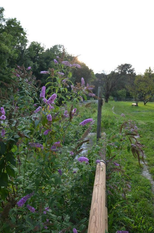 Casetta Next To The Creek Sebastiano Ricci ベッルーノ エクステリア 写真